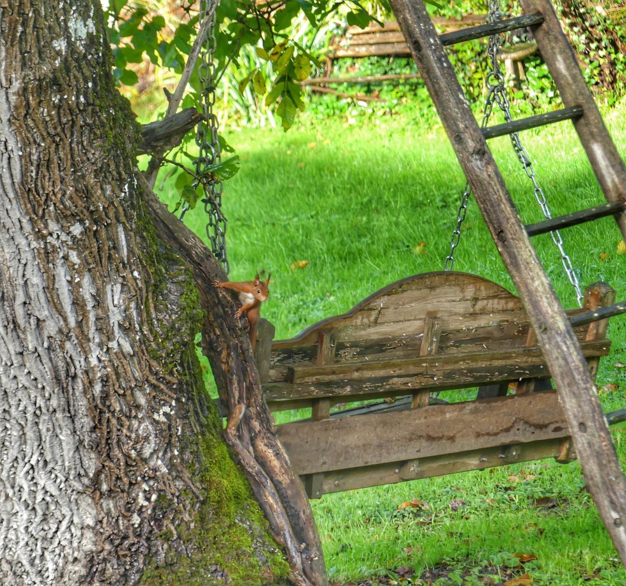 Au Coeur Des Loges Bed & Breakfast Saint-Bonnet-de-Bellac Exterior photo